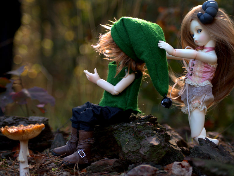 Orin in the forest
