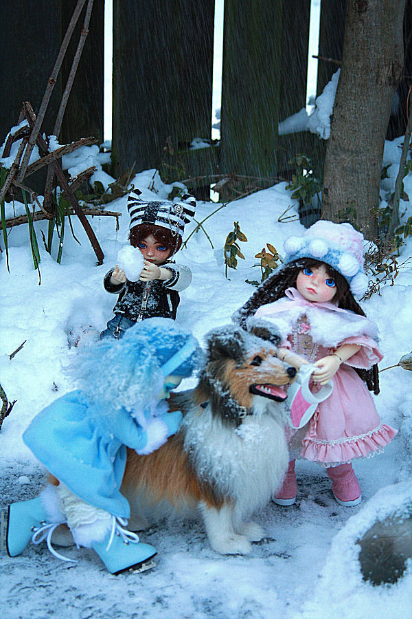 ball jointed dolls having winter fun